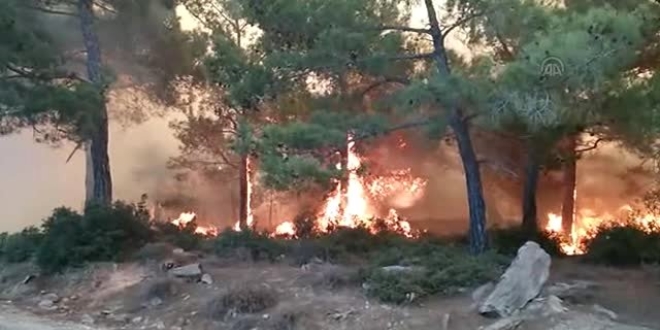Bilecik'teki orman yangını halen söndürülebilmiş değil