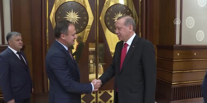 Erdoğan, Moldova Parlamento Başkanı'nı kabul etti