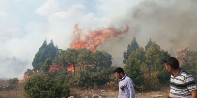 Kütahya'da vatandaşların orman yangını seferberliği