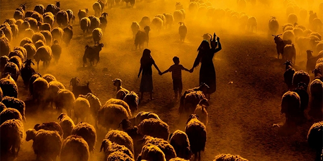 Memurun çektiği fotoğraf Türkiye 2.si oldu