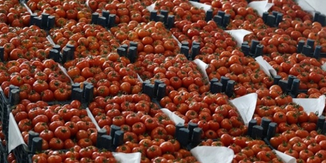 Rusya'da 'domates' aklamas