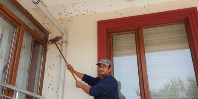 Her tarafı sardı! Valilik tüm kurumlarla toplantı yaptı