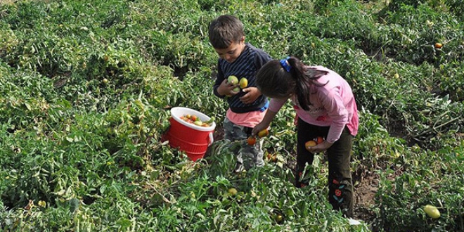 Okul heyecan�n� ge� ya�ayacaklar