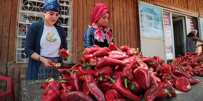 Çeyizlerini 'acıdan' çıkarıyorlar