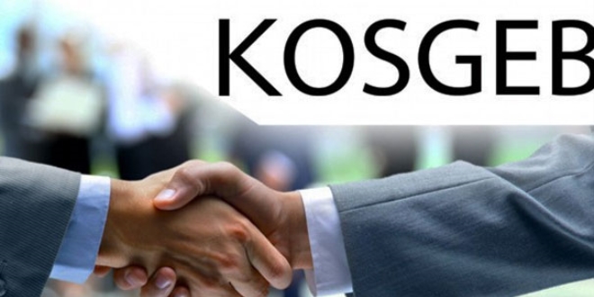 KOSGEB'ten 'stratejik ürüne' yüzde 100 destek