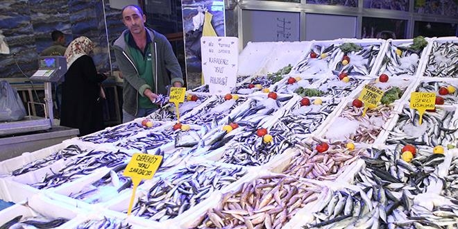 Karadeniz'de balık bolluğu