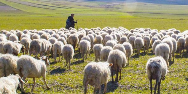 Kitap yazan eski �obandan kanser hastas�na anlaml� ba���