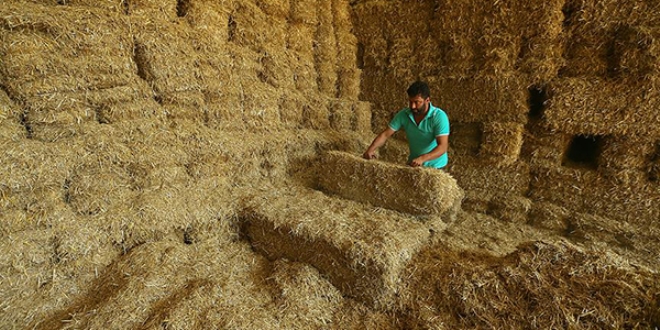 D�rt y�l sonra yeniden saman ithal ettik!