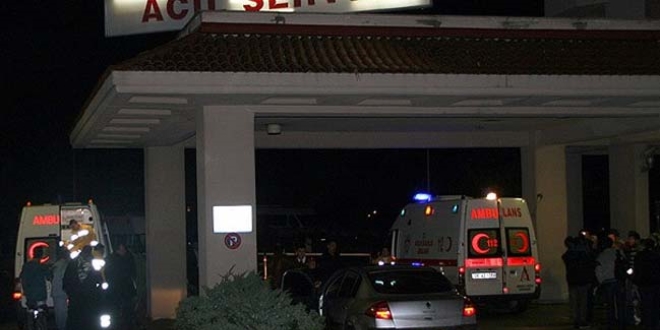 Ayı saldırısına uğrayan TEDAŞ çalışanı ağır yaralandı