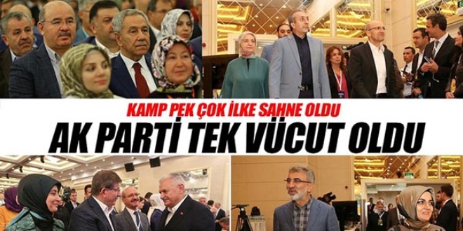 AK Parti tek vücut oldu