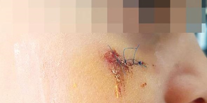 Savcılık dikiş attıran kitabı silah saydı