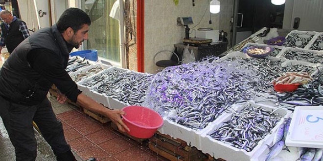 Hamsi avı balıkçının yüzünü güldürdü