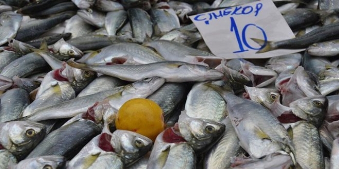 Samsun'da bal�k fiyatlar�