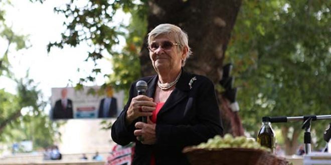 An�t a�ac�n zeytinlerinin ya�� 50 bin liraya sat�ld�