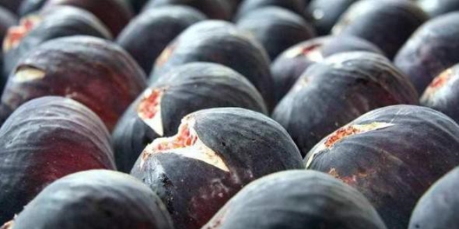 Hong Kong'da 'Bursa Siyah�' kuyru�u