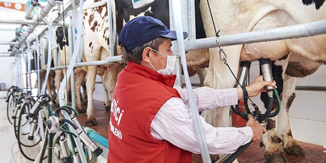 Devlet desteği yatırıma ve üretime dönüştü