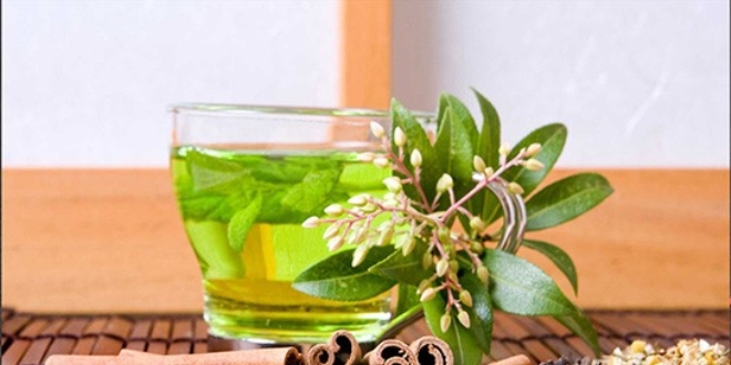 So�uk havan�n 'ilac�' bitki �aylar�