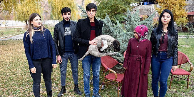 Felçli köpeğe üniversite öğrencileri sahip çıktı