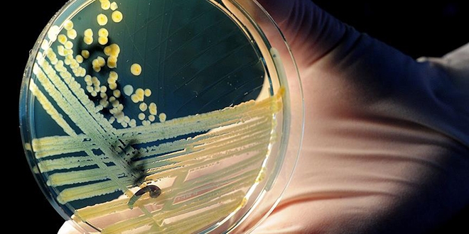 Hastalıklı dokuları aydınlatan nano-bileşke üretildi