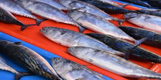 �stavrit bollu�u bal�k��lar� sevindirdi