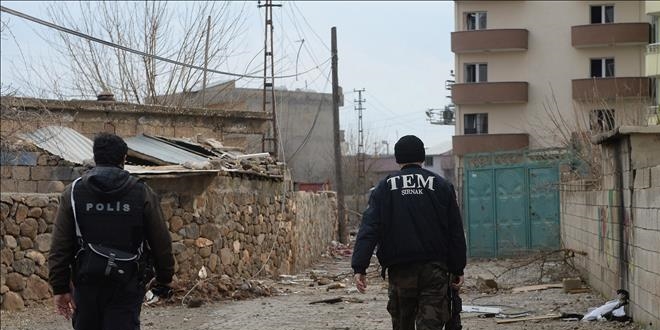 Şırnak'ta bir terörist yakalandı