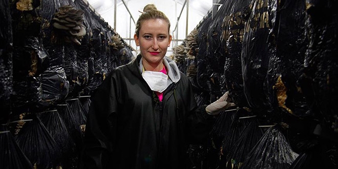 Mantar kooperatifi kurmak i�in hem�ireli�i b�rakt�