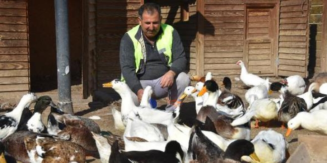 Belediye personelinin şaşırtan hayvan sevgisi