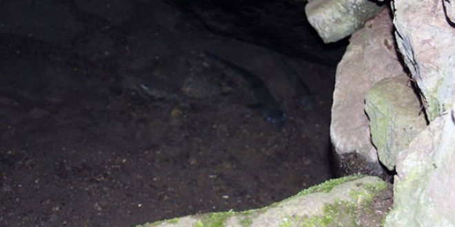 Giresun'da '3 bal�k' efsanesi