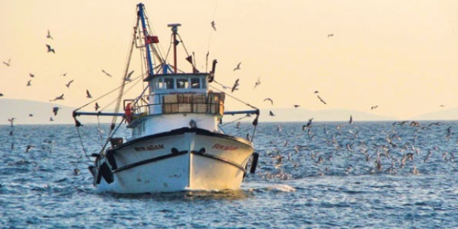 Karadeniz'de balık bolluğu yaşanıyor