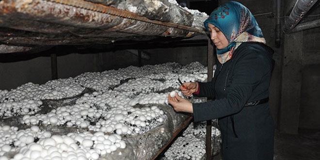 Hobi olarak başladı, üretiminde talebi karşılayamıyor