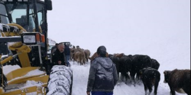 Bayburt'ta karda mahsur kalan 20 kişi kurtarıldı