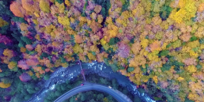 Ayder Yaylas� k���n da ziyaret�ilerini bekliyor