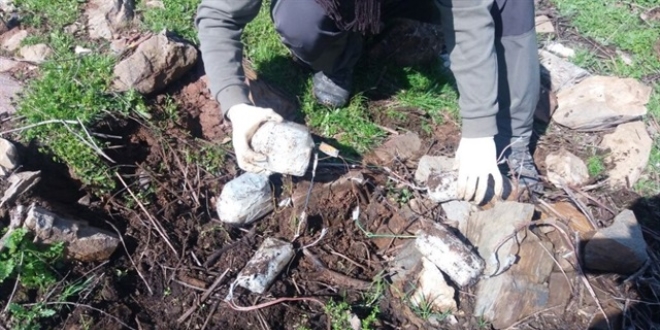 Bitlis'te 3 el yapımı patlayıcı imha edildi