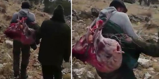 Yaban keçisi avlayan 3 avcıya, 16 bin TL ceza