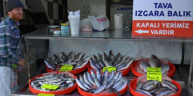 Balıkçılar palamut ve hamside umduğunu bulamadı