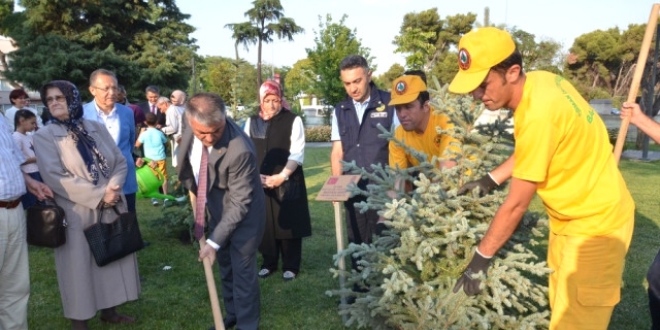 Başkentte, şehit özel harekatçılar için fidan dikildi