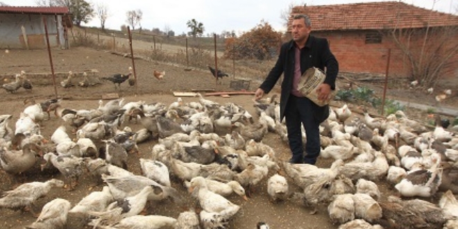 Hobisini kazanca dönüştürdü