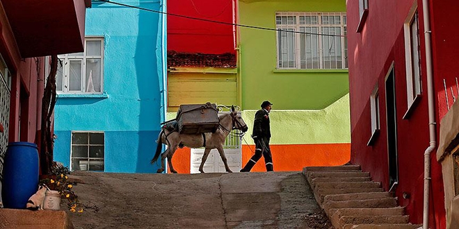 Dar sokakların çöpçüsü Nazlı ile 'Beyaz'ın dostluğu