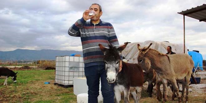 Eşek sütüyle şifa buldu, çiftliğini kurdu