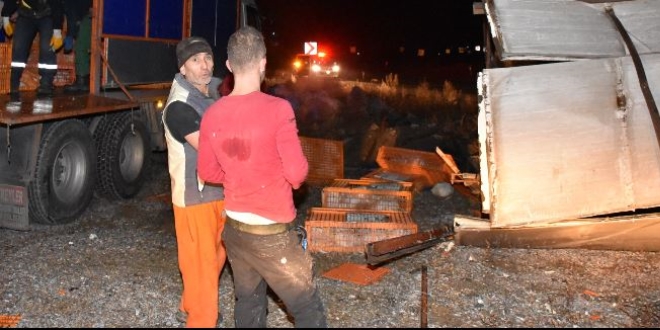 Tavuk yüklü kamyon devrildi, hayvanlar telef oldu
