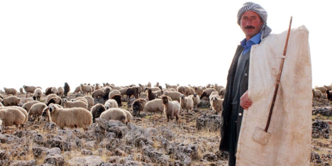 '3 bin liraya �oban bulam�yoruz'