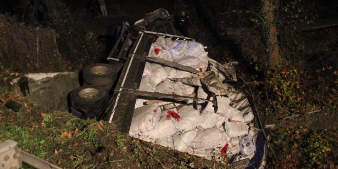 TEM'de çanta yüklü kamyon 5 metrelik şarampole uçtu:1 yaralı
