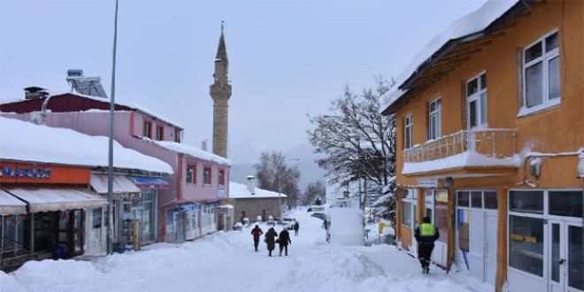 Dou Anadolu'da dondurucu souklar etkili oluyor