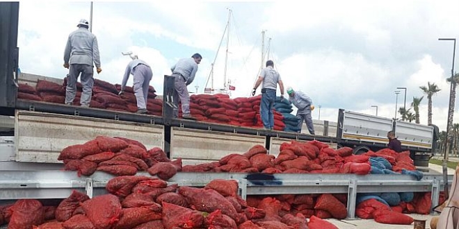 Balıkesir'de 8 ton kaçak midye ele geçirildi