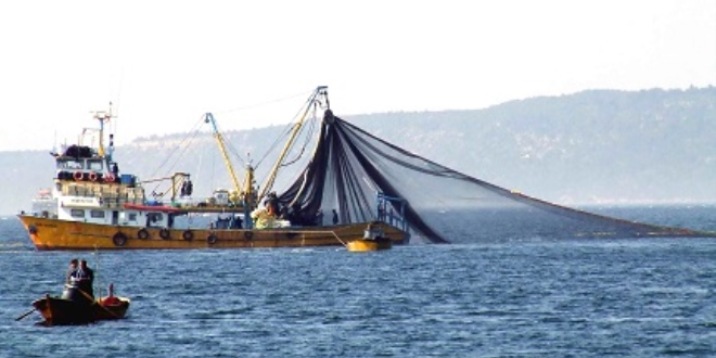 Bal�k��lar hamsiden dertli