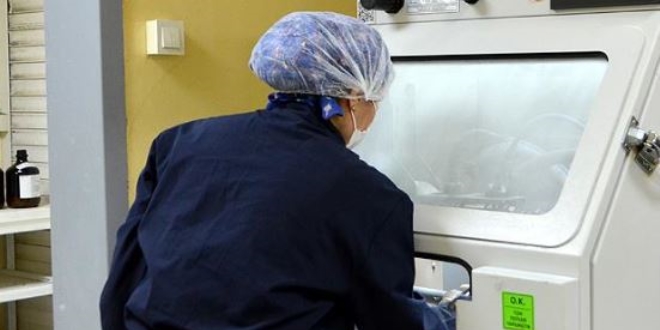 23 �lkeye yerli yapay di� k�k� ihra� ediyor