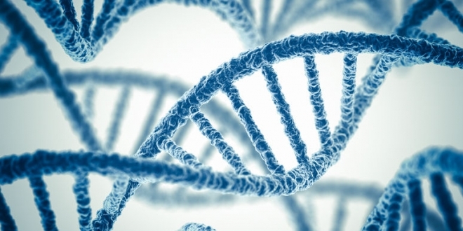 Katilin Türk olduğunu DNA'sından buldular