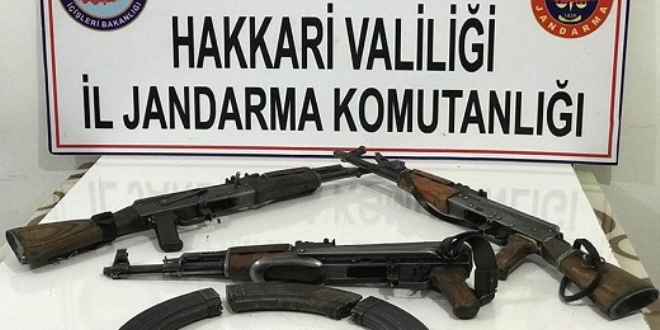 Hakkari'de PKK'ya yönelik operasyon düzenlendi