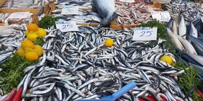 Hamsinin fiyat� k�ymayla yar���yor