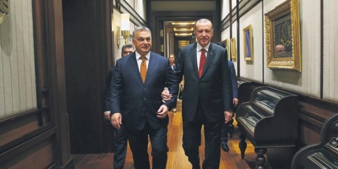 Türk-Macar dostluğu hakkında Cumhurbaşkanı'nın yazısı